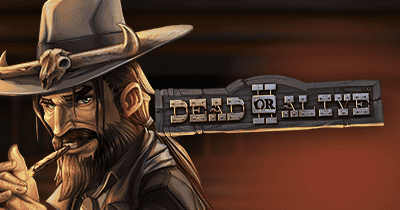 Dead or Alive 2 slot